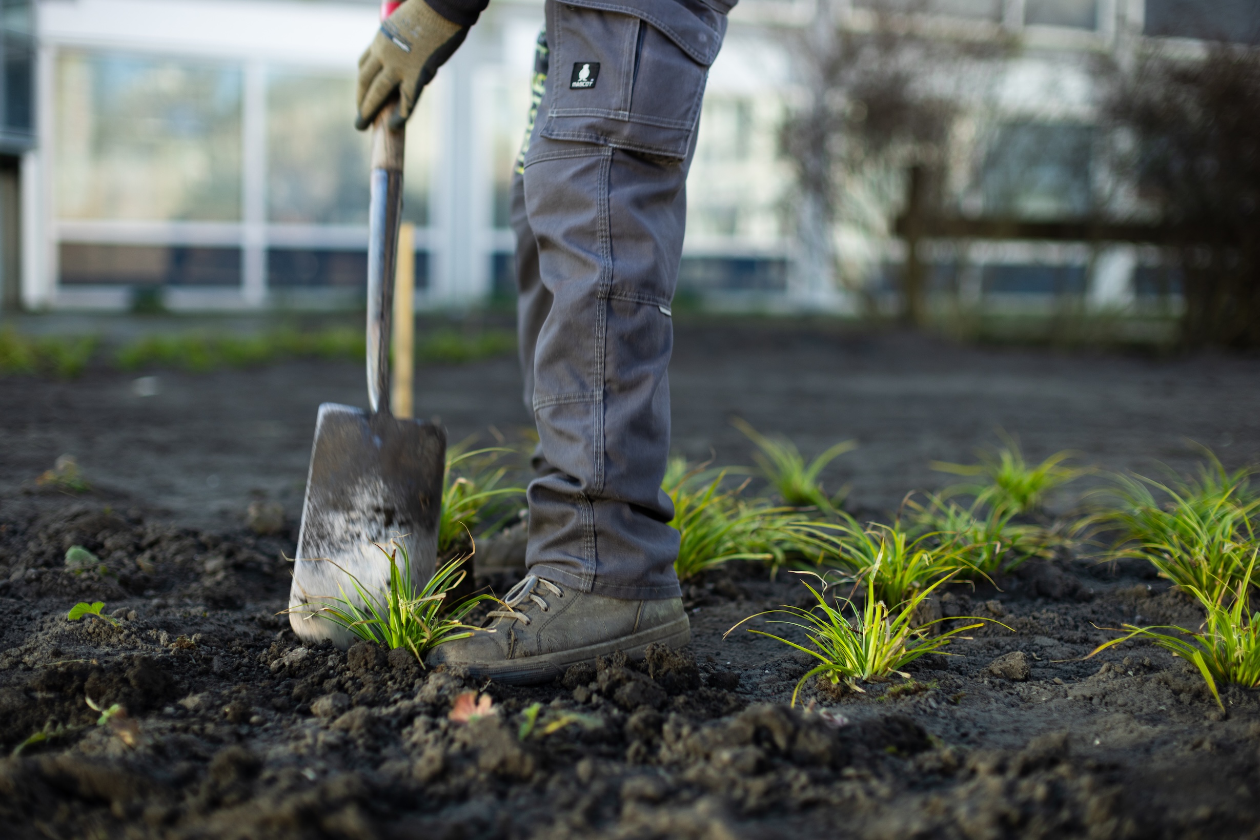 aanplanten van jonge nieuwe planten_88A0569