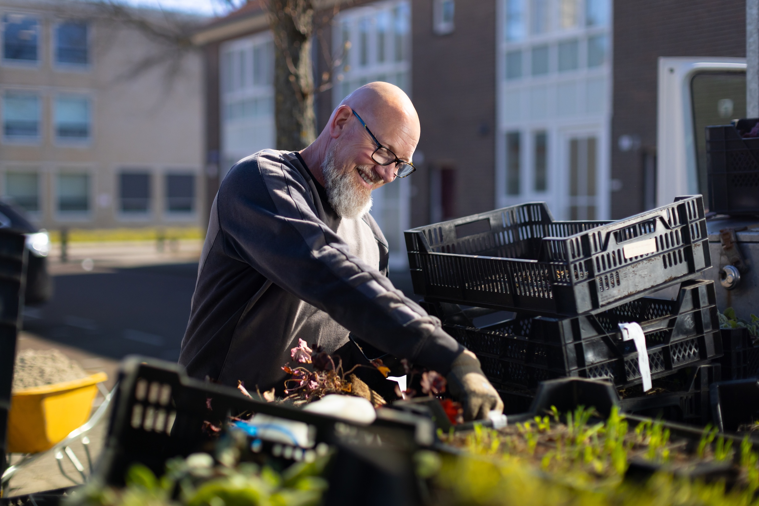 Aanplanten van nieuwe planten