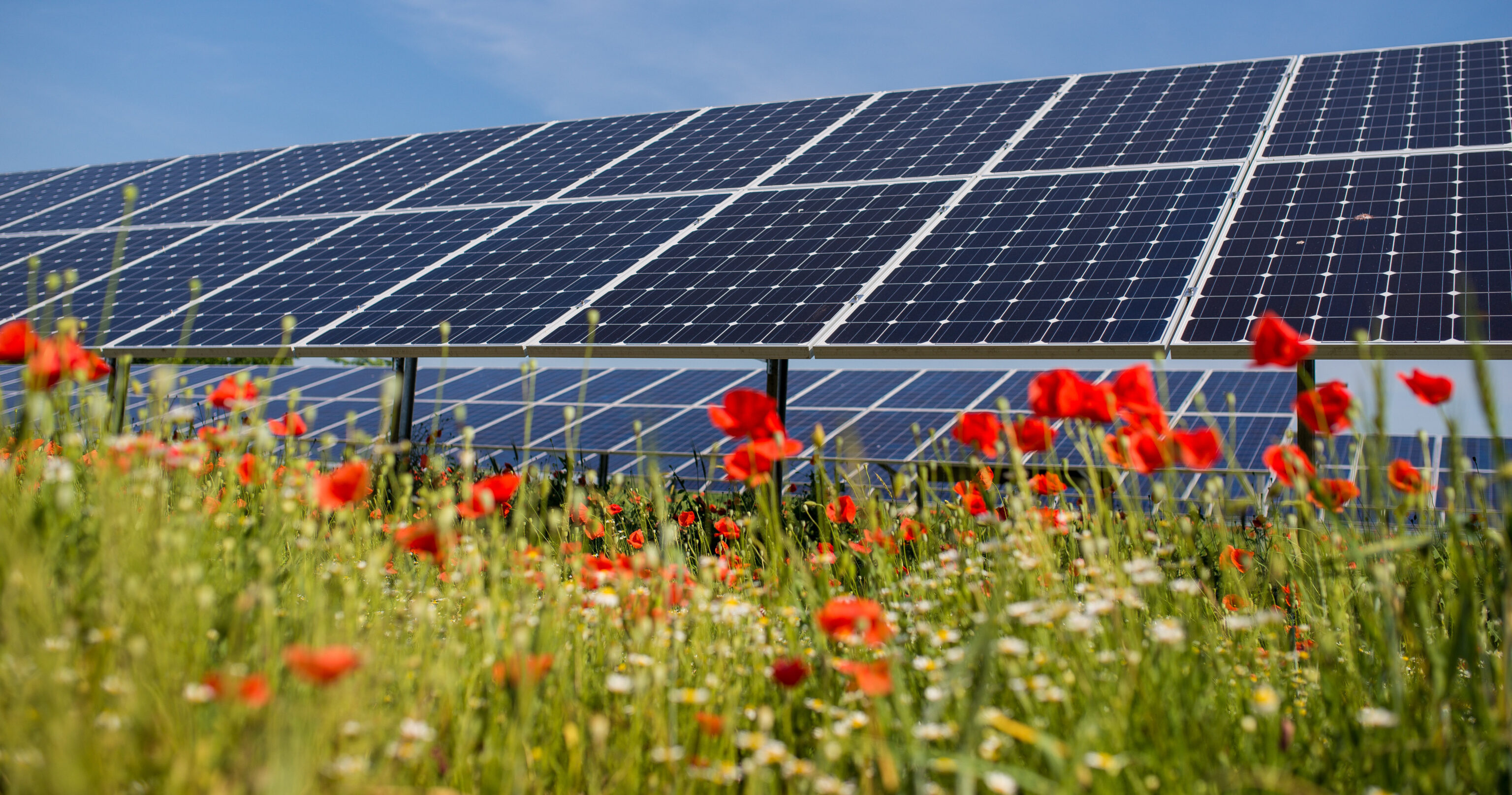 Solar,Panels,In,A,Field.