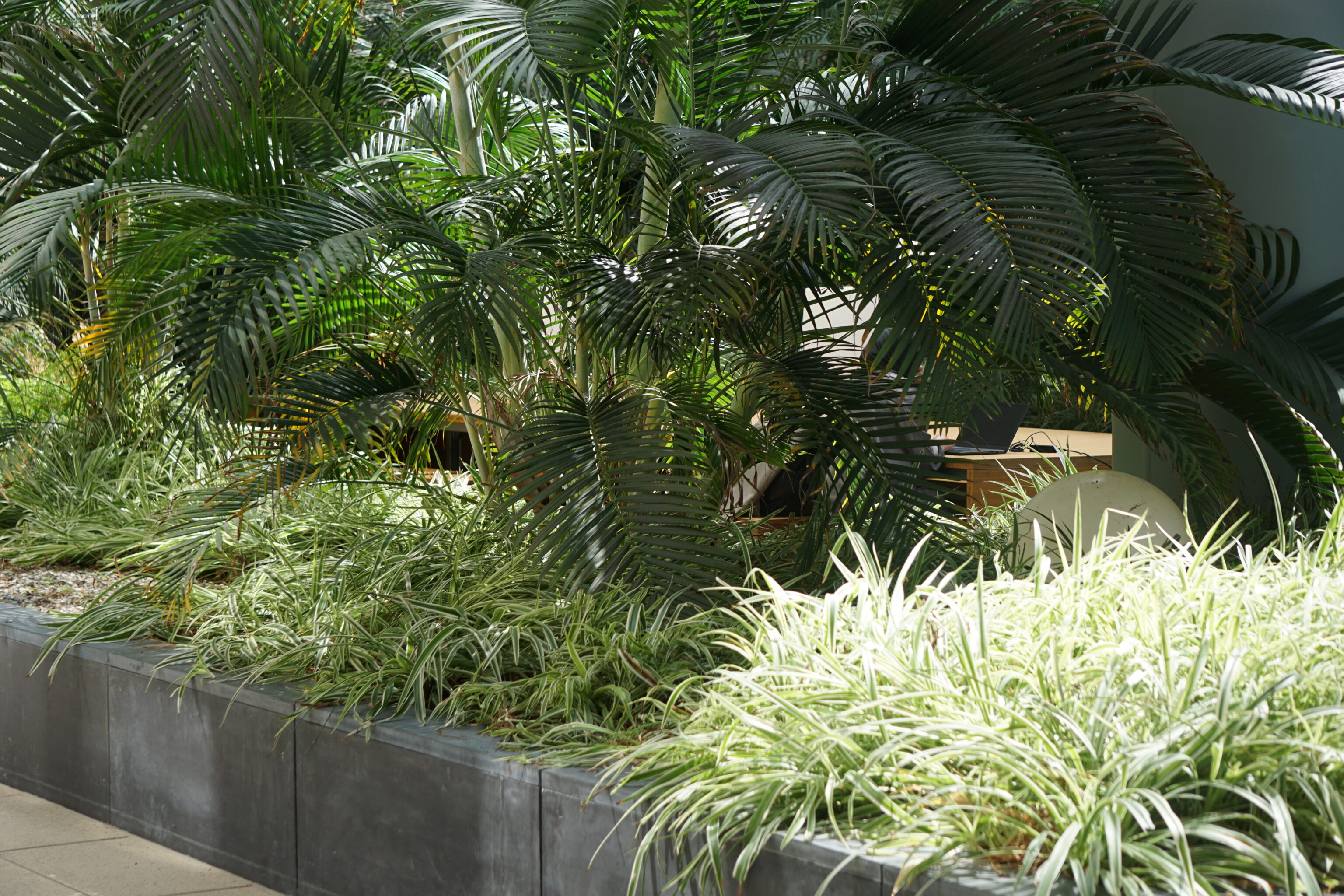 DSC00801